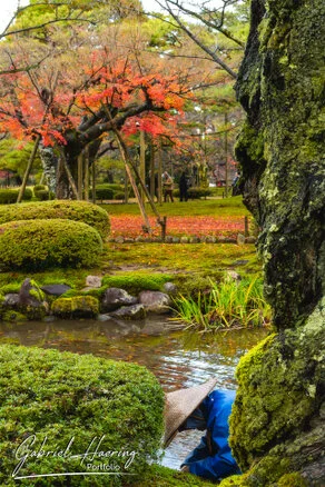 Autumn foliage in Kenrokuen Garden with maple trees in yellow, orange, and red