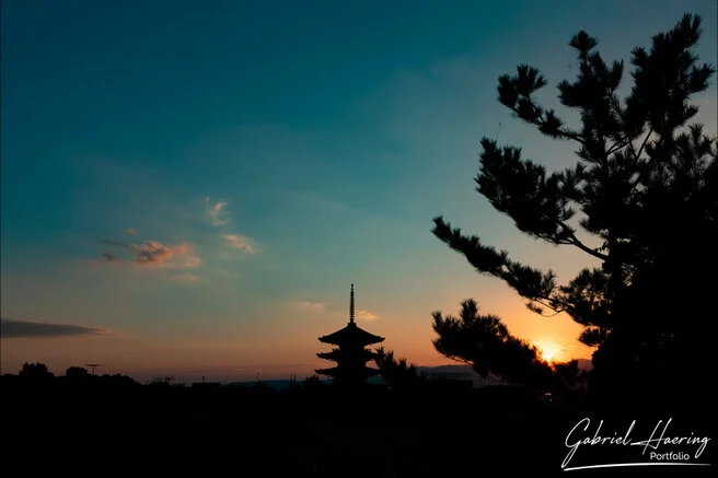 Autumn garden of Kōdai-ji lit at night with maple reflections