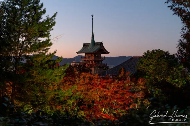 Autumn garden of Kōdai-ji lit at night with maple reflections