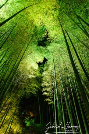 Autumn garden of Kōdai-ji lit at night with maple reflections