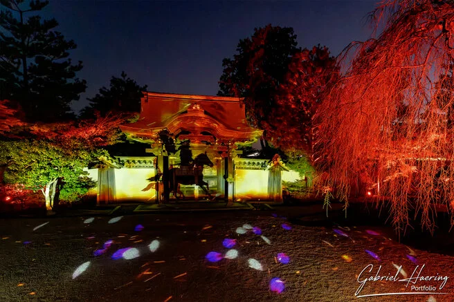 Autumn garden of Kōdai-ji lit at night with maple reflections