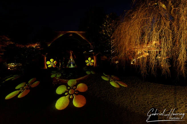 Autumn garden of Kōdai-ji lit at night with maple reflections
