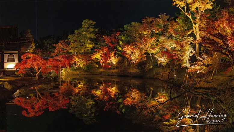 Autumn garden of Kōdai-ji lit at night with maple reflections