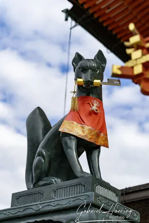 Quiet pathway leading to a historic Kyoto temple