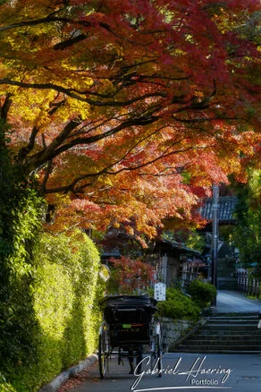 Quiet pathway leading to a historic Kyoto temple