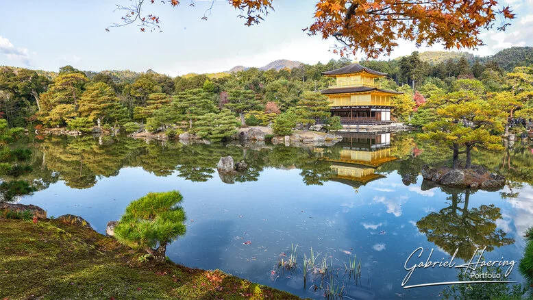 Quiet pathway leading to a historic Kyoto temple