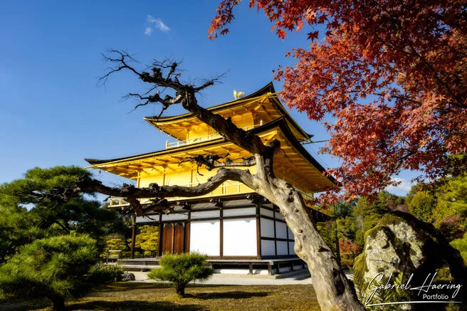 Quiet pathway leading to a historic Kyoto temple