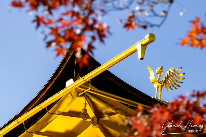 Quiet pathway leading to a historic Kyoto temple