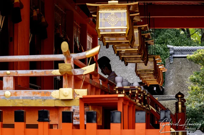 Quiet pathway leading to a historic Kyoto temple