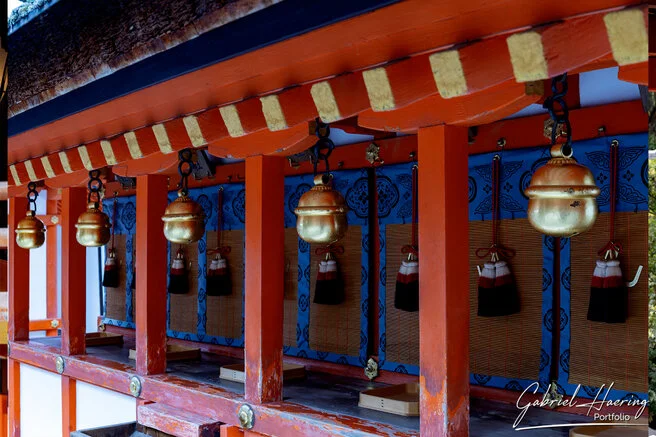 Quiet pathway leading to a historic Kyoto temple