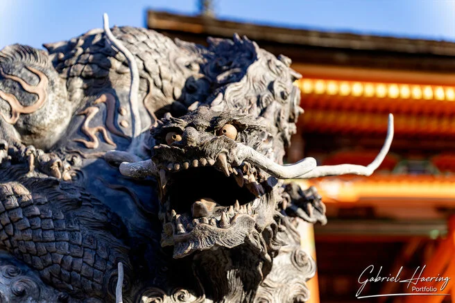 Quiet pathway leading to a historic Kyoto temple